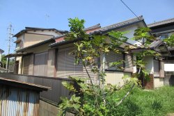 加木屋丸根貸家